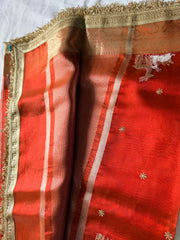 Woman wearing an elegant red tissue silk saree